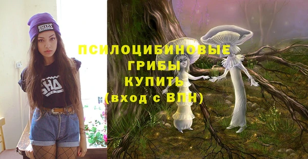 бошки Горняк