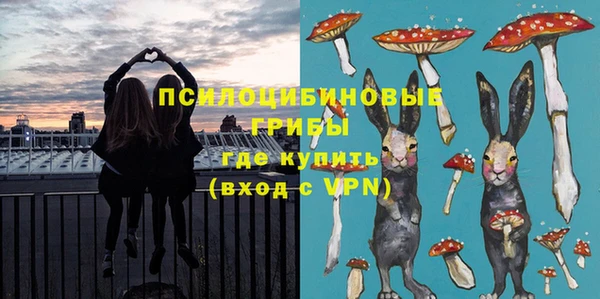 таблы Горнозаводск