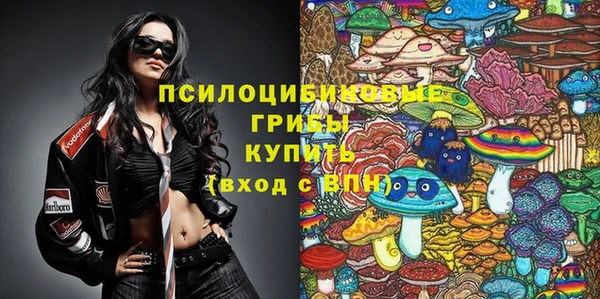 бошки Горняк