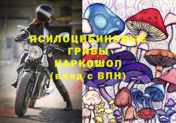 бошки Горняк