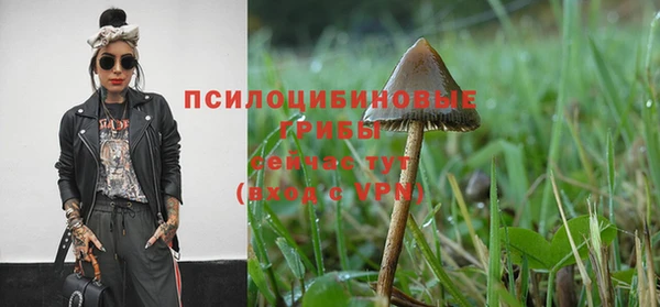 таблы Горнозаводск