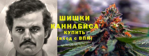 бошки Горняк