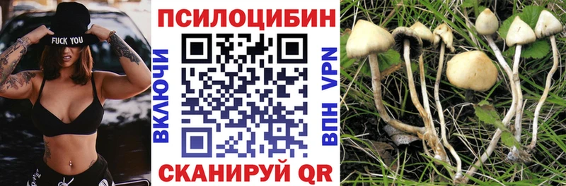 Купить где  Троицк  Галлюциногенные грибы ЛСД 
